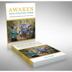 awaken book