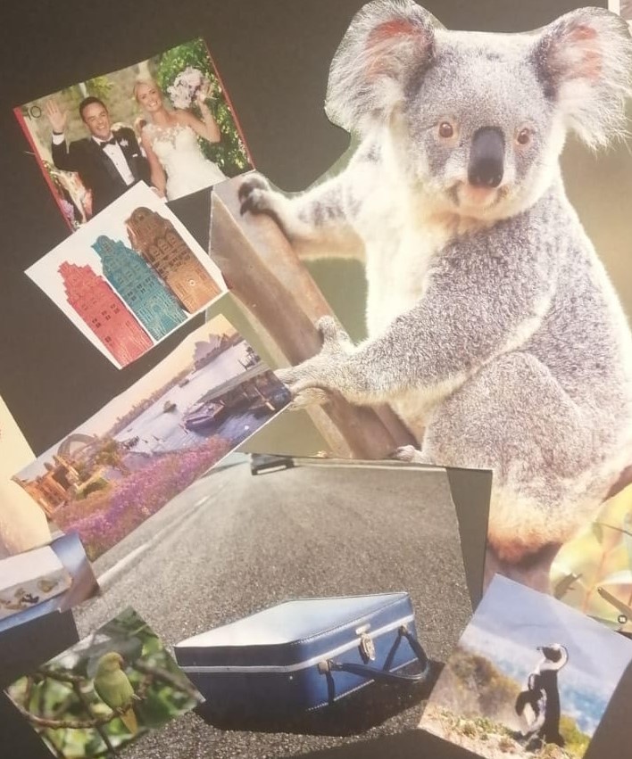 Compare the likeness of the koala on her vision board with the encounter she had in real life 