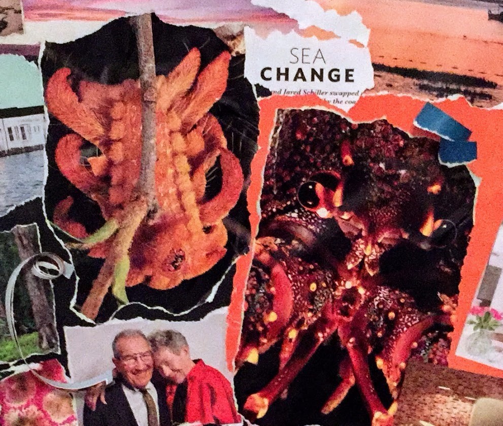 Lobsters on my intuitive vision board - a premonition
